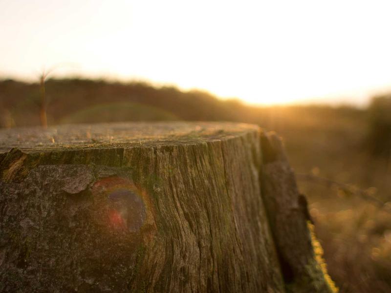 sudoku local leaderboard screenshot 4